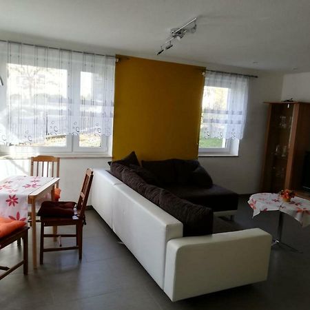 Ferienwohnung, Monteurwohnung Grossrohrsdorf Exteriér fotografie