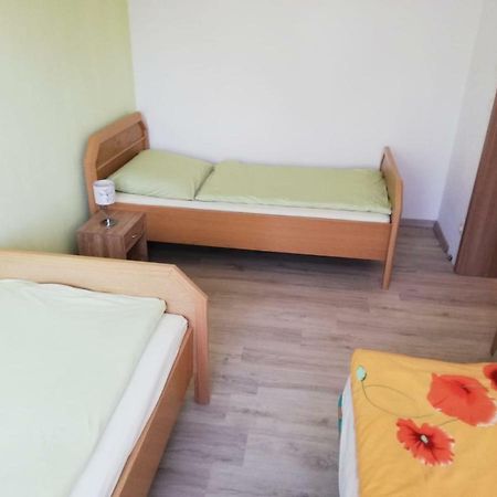 Ferienwohnung, Monteurwohnung Grossrohrsdorf Exteriér fotografie
